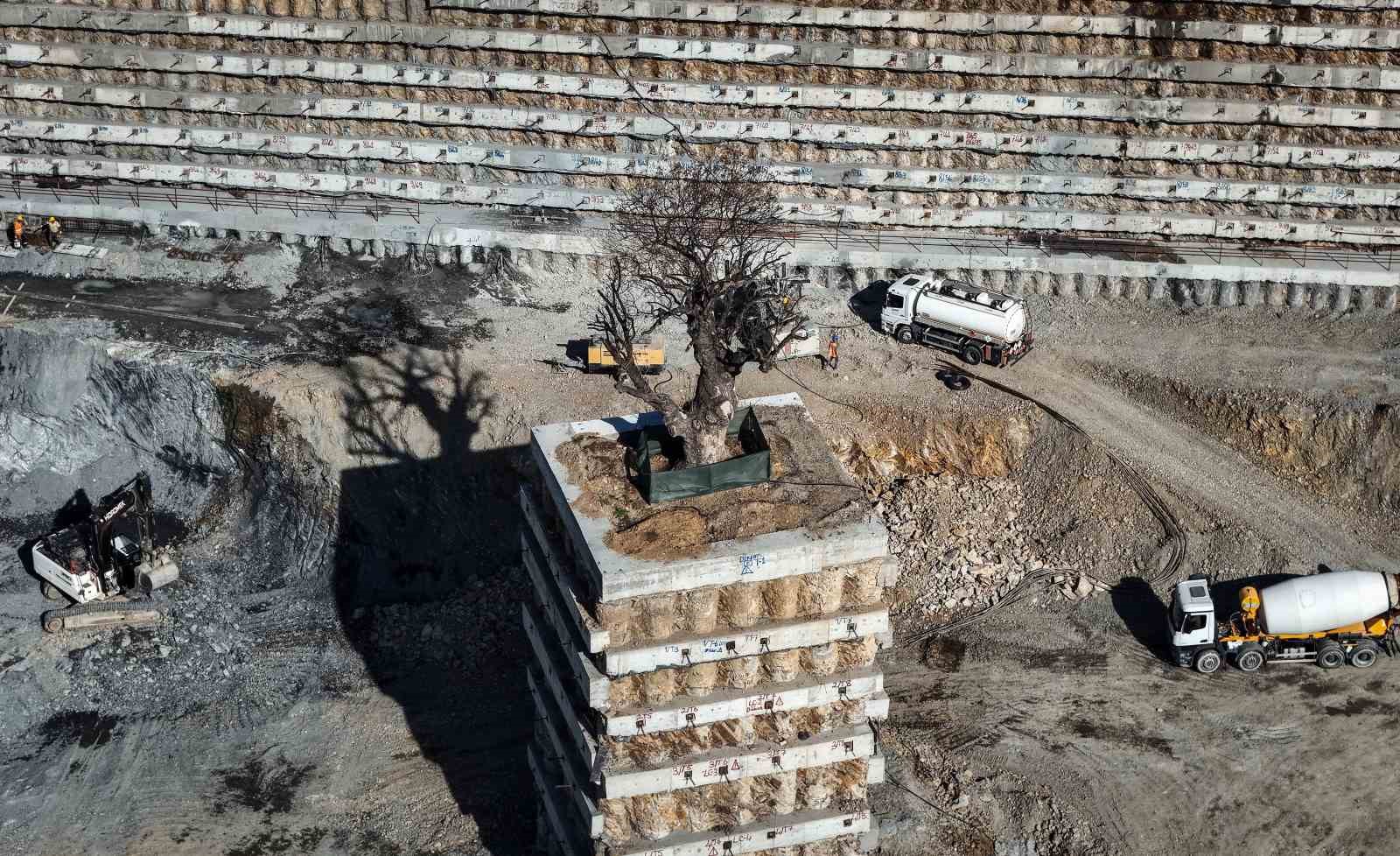 milyarlik projede tarihi agaca fore kazikli koruma 2 8tVbYQcn