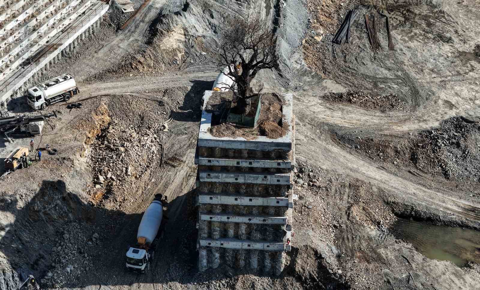 milyarlik projede tarihi agaca fore kazikli koruma 5 YXfcY9WA