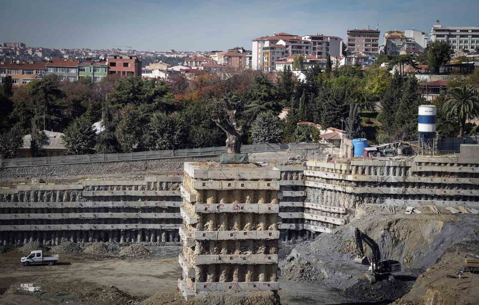 milyarlik projede tarihi agaca fore kazikli koruma 7 bJ83IuXG