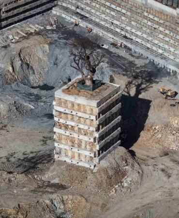 milyarlik-projede-tarihi-agaca-fore-kazikli-koruma-xXgS8yDK.jpg