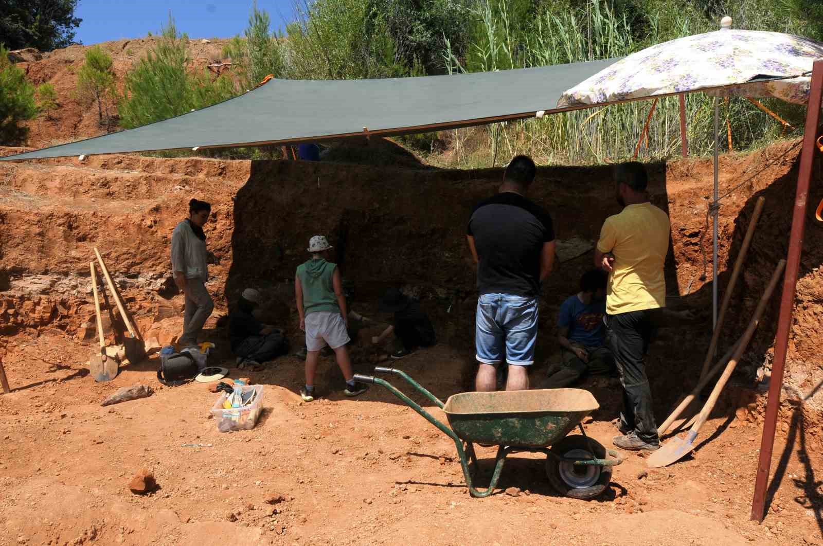 milyonlarca yillik fosil kalintilari gecmisin karanligina isik tutuyor 5 HhNE83Fs