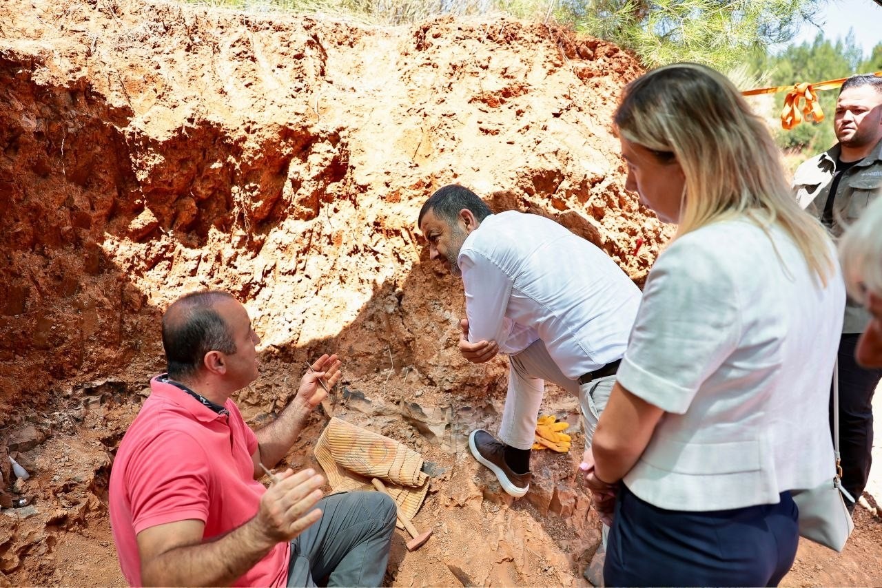 milyonlarca yillik fosil kalintilari gecmisin karanligina isik tutuyor 8