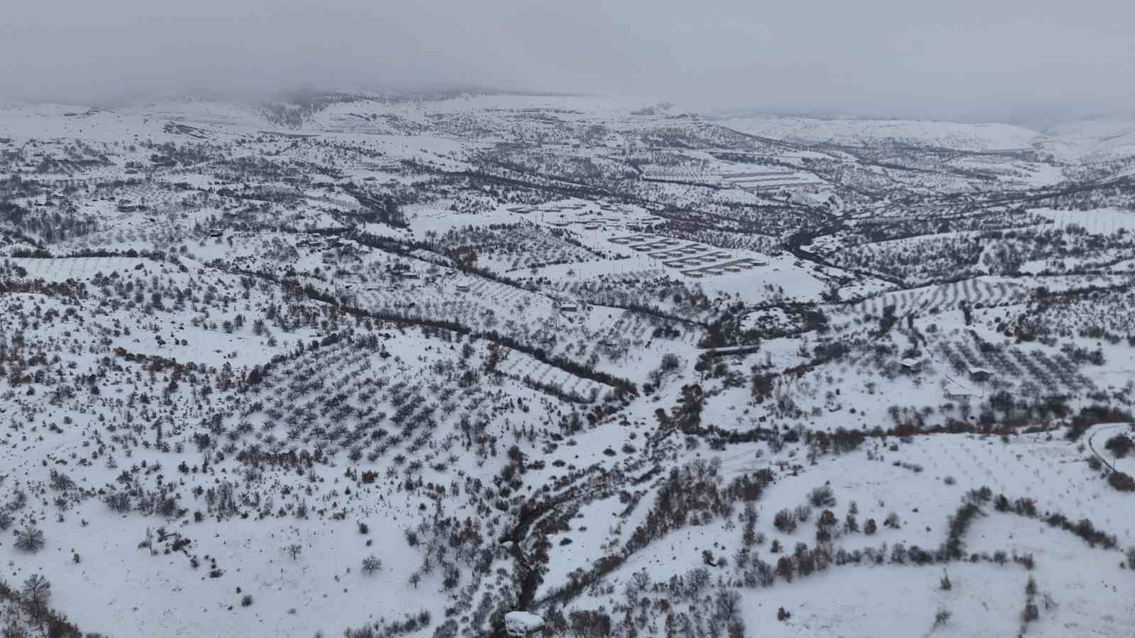 milyonlarca yillik vadi beyaza burundu 4