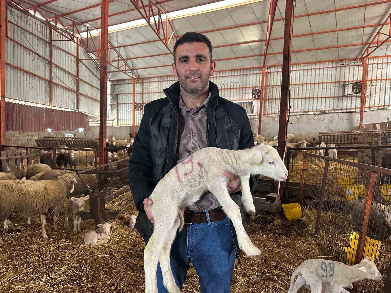 milyonluk kocun kuzulari icin bugunden siraya girdiler 2 i2cJL79u