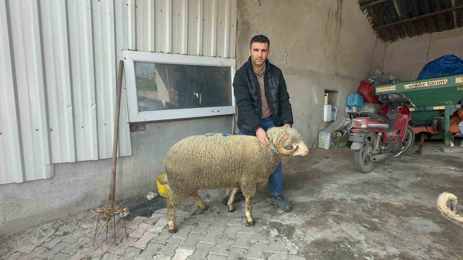 milyonluk kocun kuzulari icin bugunden siraya girdiler 3 F2Yd6u4d