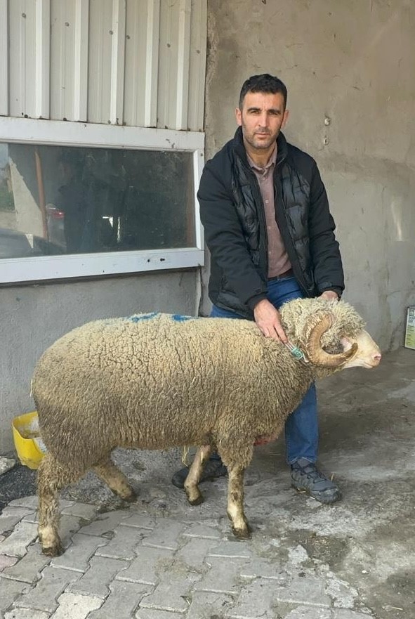 milyonluk kocun kuzulari icin bugunden siraya girdiler 6 tlibg7Nh