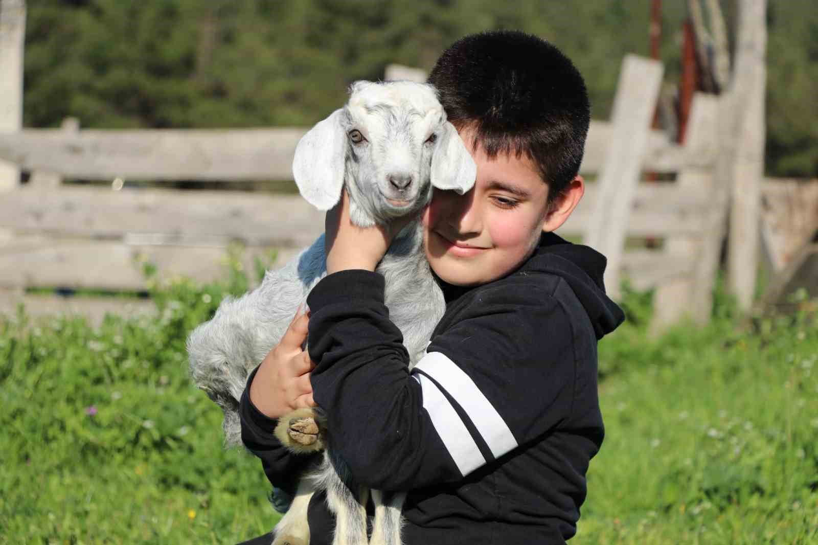 minik cobanlar lapsekide kiyasiya yarisacak 2 FqkQcjR8