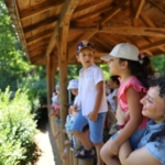 minik-kasifler-bursa-hayvanat-bahcesinde-dogayla-bulustu