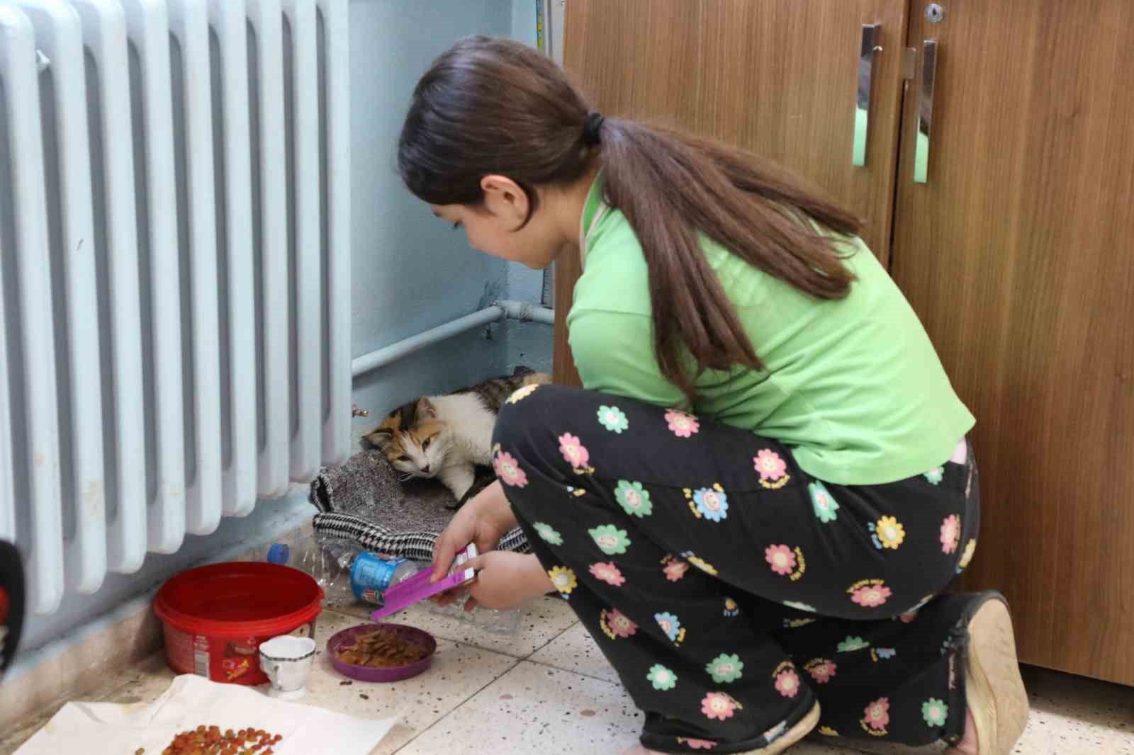 minik misafirler sinifin nesesi oldu 1 WSyWNjXf
