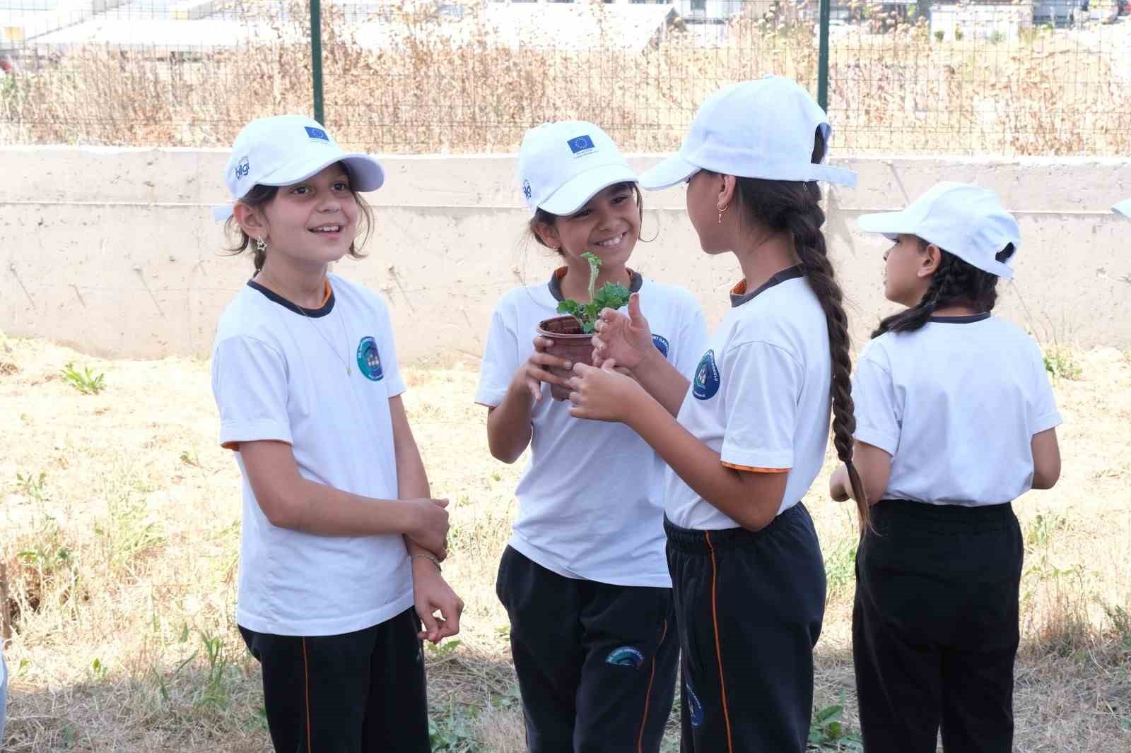 minik ogrenciler fide dikerek doga bilinci kazandi 1 Ra5i5VqN
