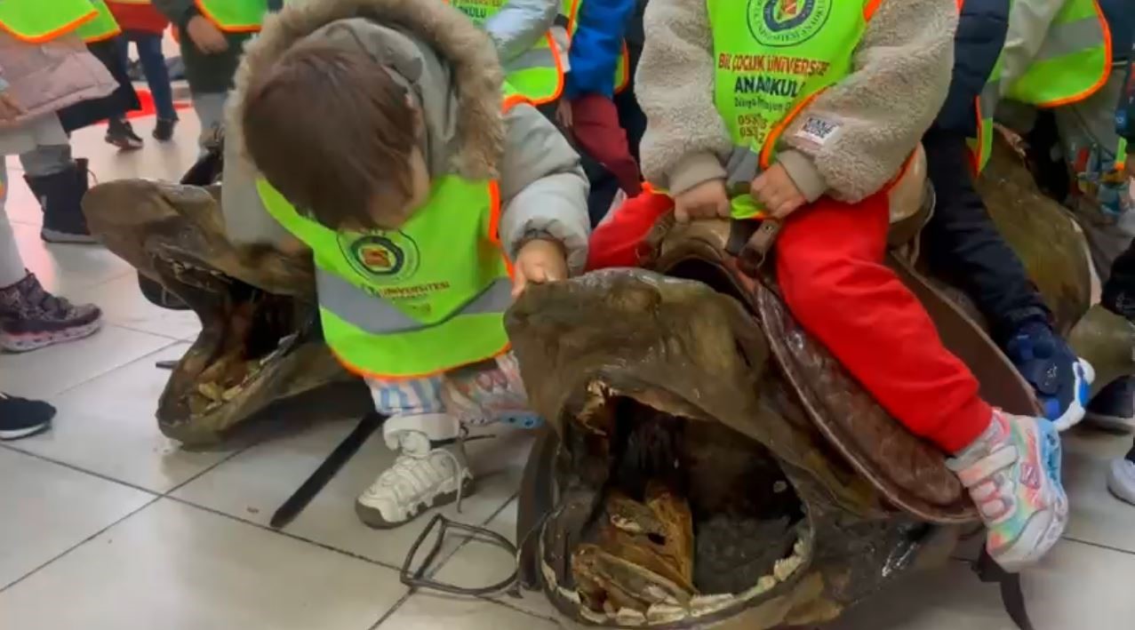 minikler mumya baliklari buyuk bir ilgiyle inceledi 1 n8UTBtLy