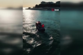 Malatya’da yaban keçileri karayolunda görüntülendi 1 thumbnail