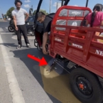 mopede-dadanan-yavru-kedi-ezilmekten-son-anda-kurtarildi-HrqcQjkc.jpg