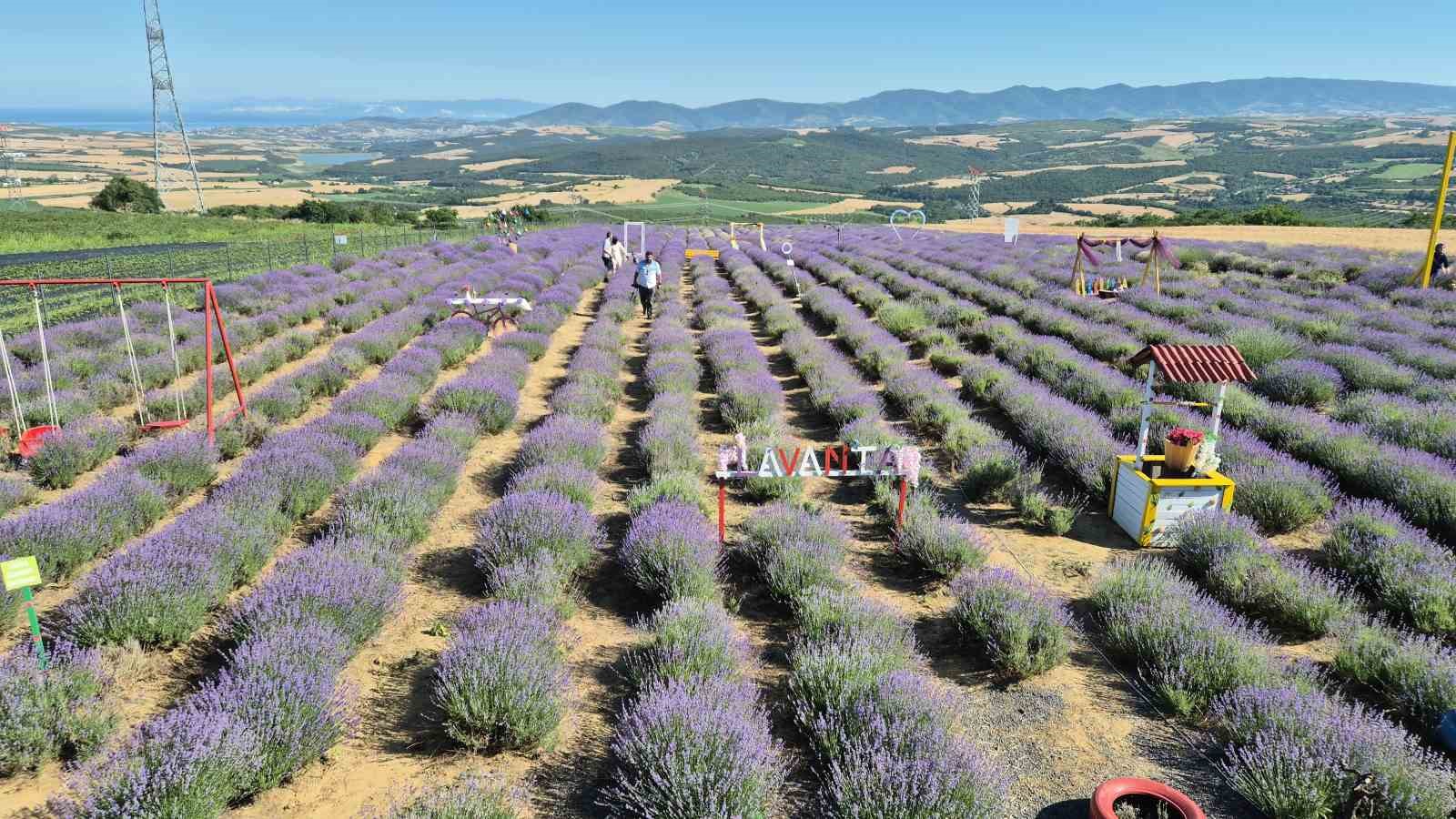 mor turizmde yeni gozde istanbulun kacis rotasi tekirdag oldu 3 R4rfDlQP