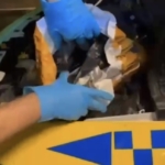 motor-kaputundan-3-milyon-liralik-metamfetamin-ele-gecirildi-H6CDNLv4.jpg