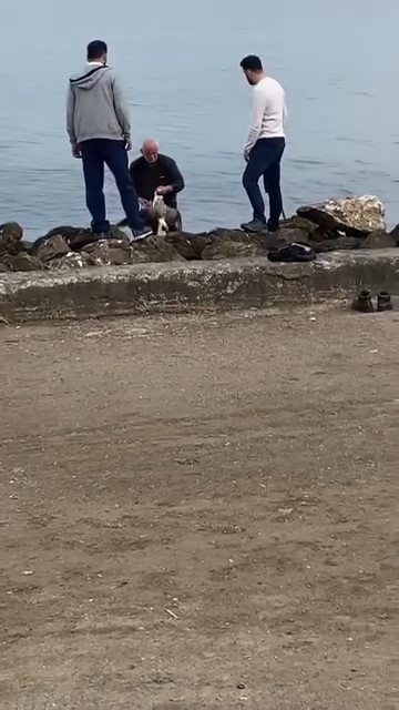mudanya sahilinde oltaya takilan martiyi vatandas kurtardi 1
