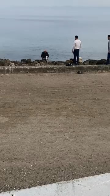mudanya sahilinde oltaya takilan martiyi vatandas kurtardi 2 ZltmPfKG