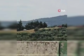 Bursa'da Derelerde Temizlik Çalışmaları Hız Kesmeden Devam Ediyor 1 thumbnail