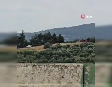 mudanyada-ruzgarin-etkisiyle-buyuyen-yangin-kontrol-altina-alindi-KJDNA7WV.jpg