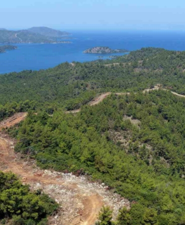 mugla-ve-aydinda-orman-yangin-serit-yolu-uzunlugu-2-bin-kilometreye-cikiyor-MveqgsmG.jpg