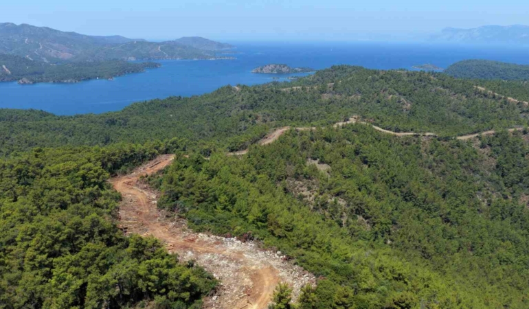 mugla-ve-aydinda-orman-yangin-serit-yolu-uzunlugu-2-bin-kilometreye-cikiyor-MveqgsmG.jpg
