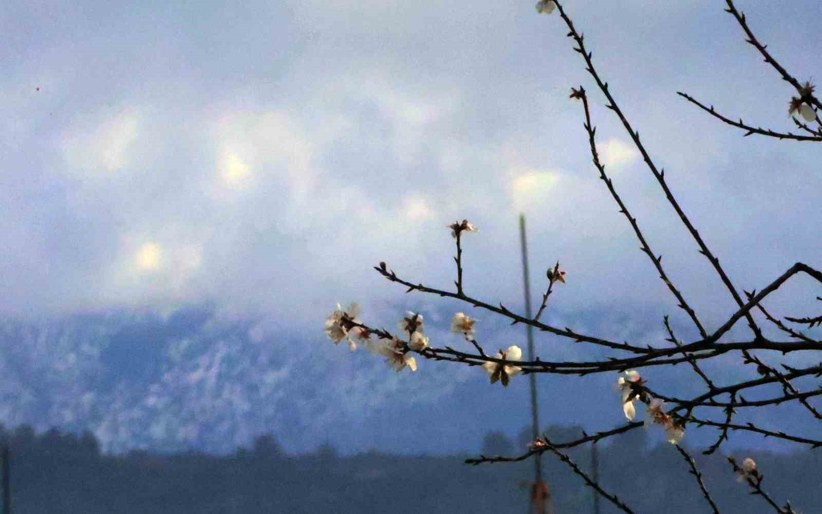muglada kis ve bahar ayni karede 3 In8VUlrS