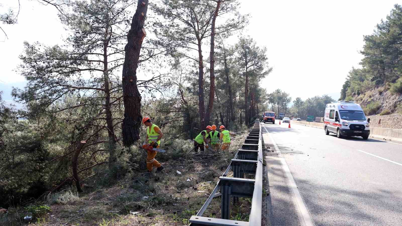 muglada yangin sezonu oncesi sakar gecidinde riskli dallar temizleniyor 0 sYNPQv6b
