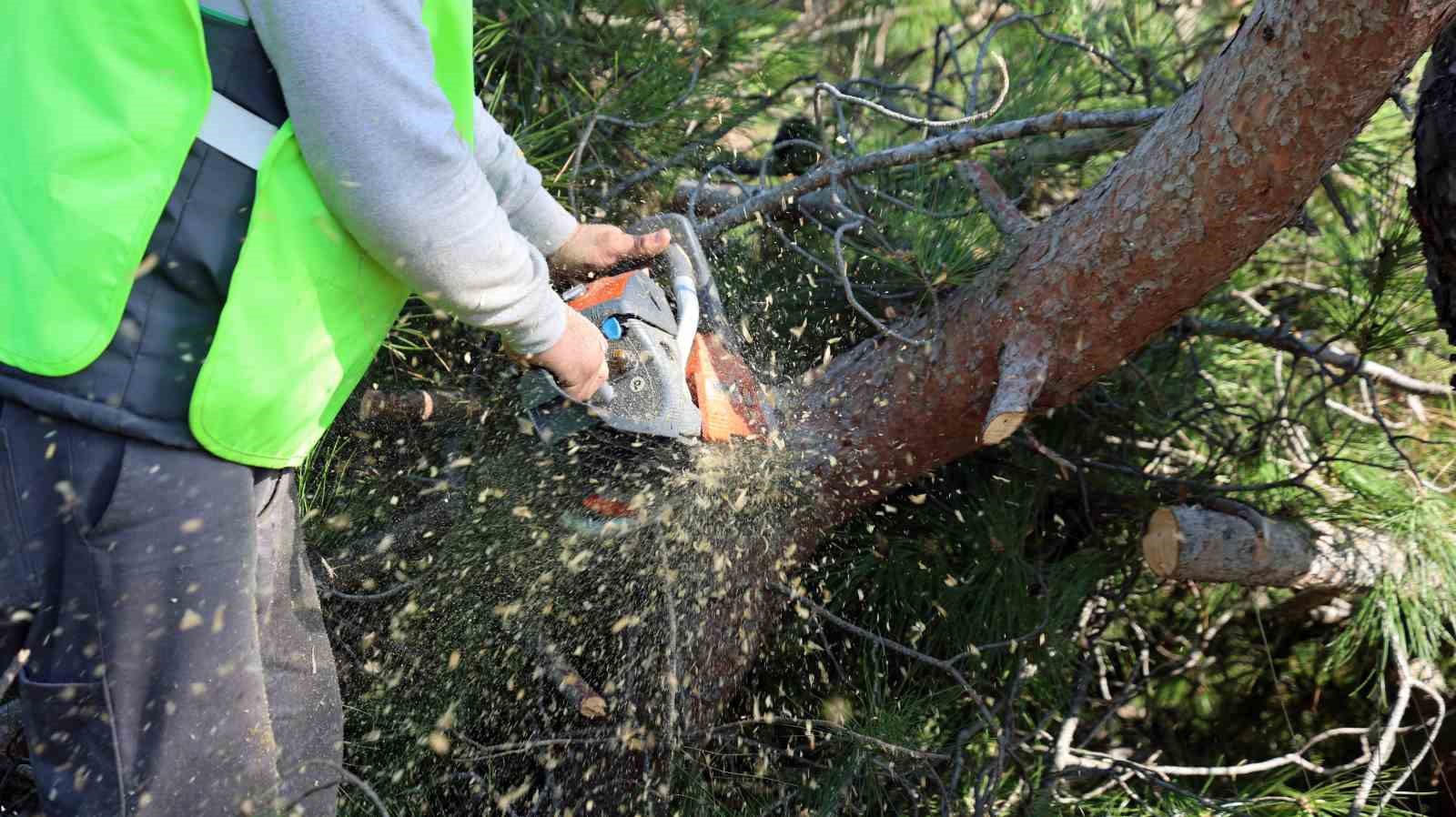 muglada yangin sezonu oncesi sakar gecidinde riskli dallar temizleniyor 4 GsFj37uI