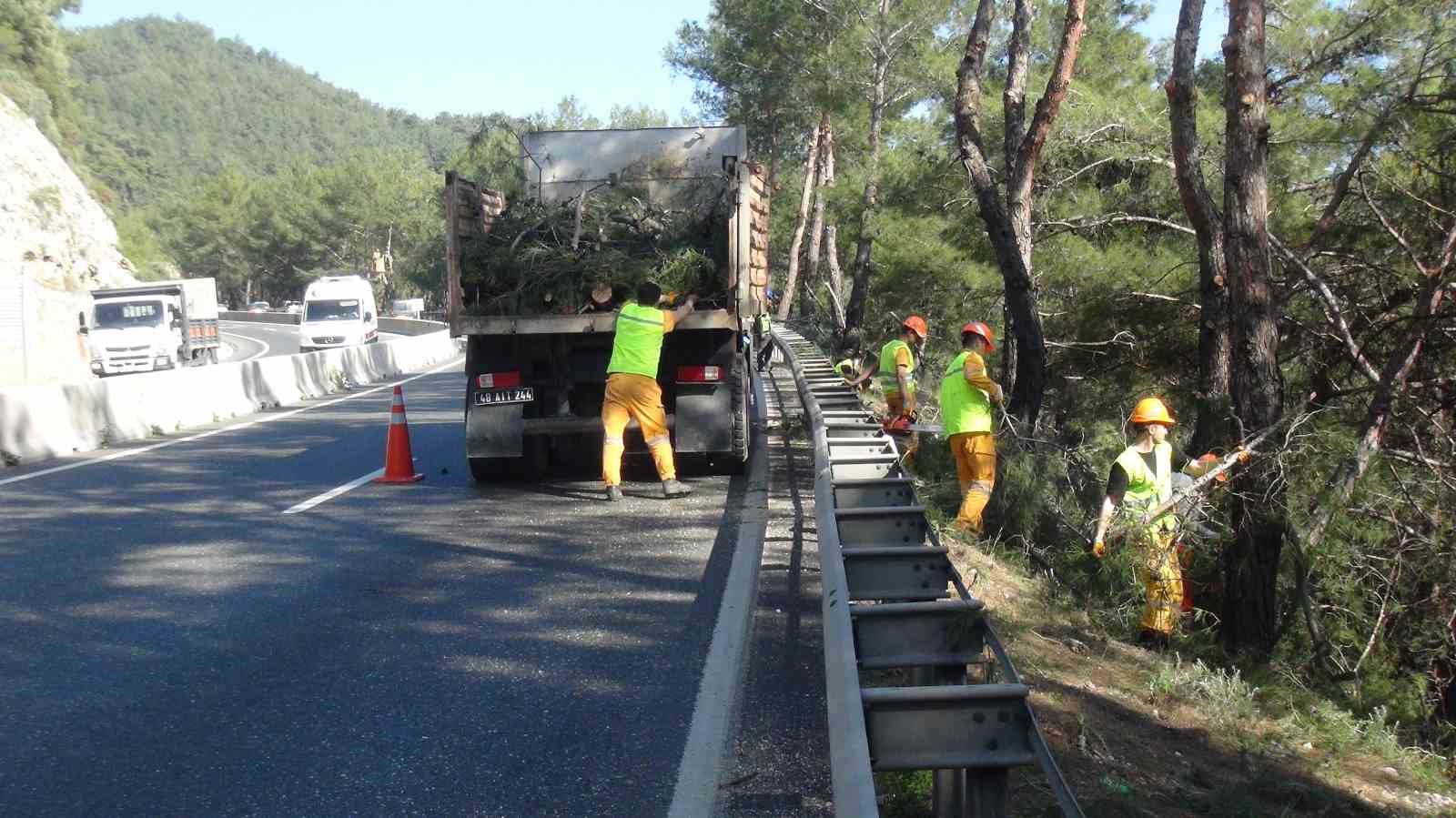 muglada yangin sezonu oncesi sakar gecidinde riskli dallar temizleniyor 8 L1c1QqED