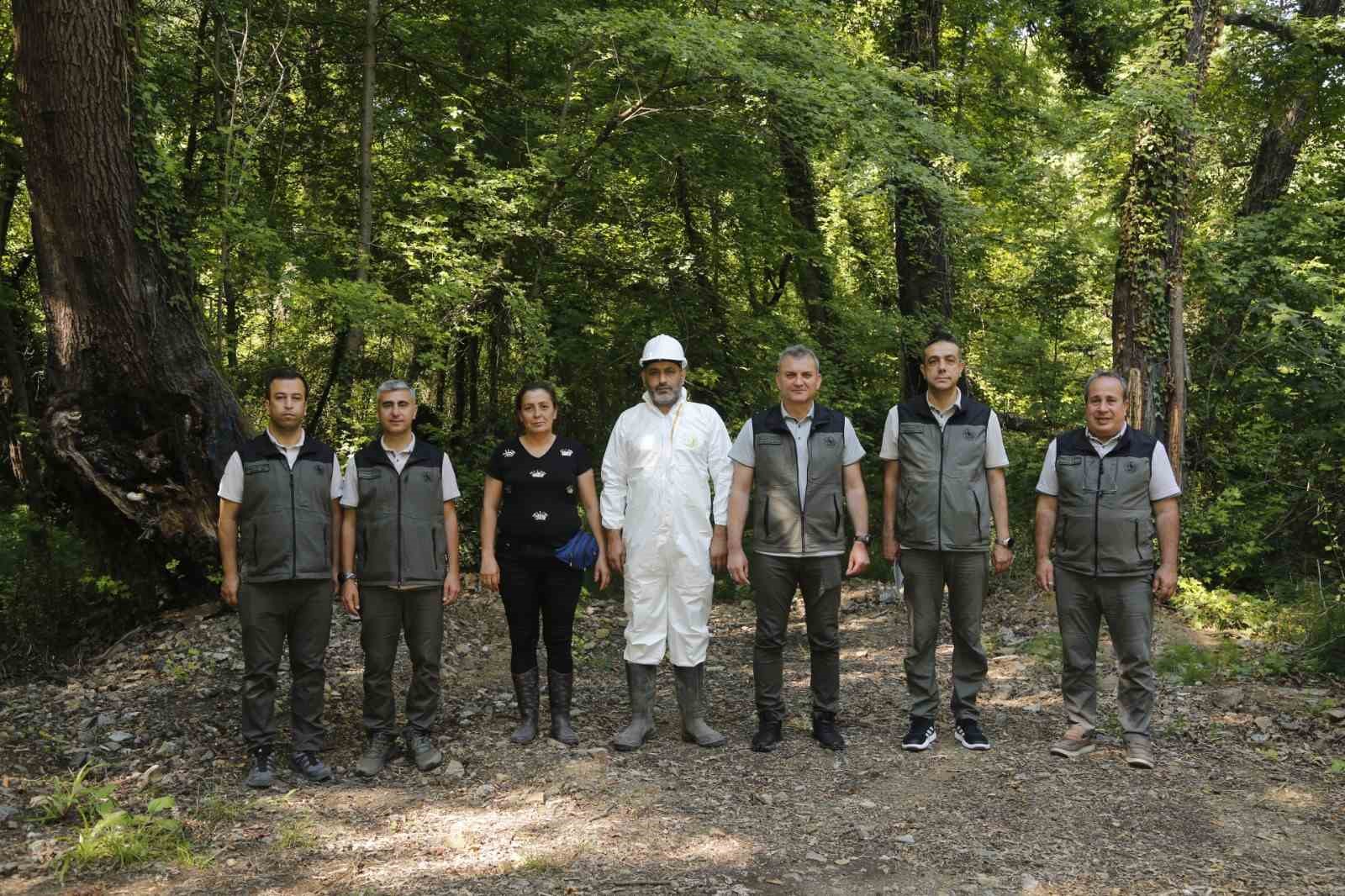 mugladaki sigla ormanlarindan 1 ton sigla yagi uretimi bekleniyor 5 R6nZEg53