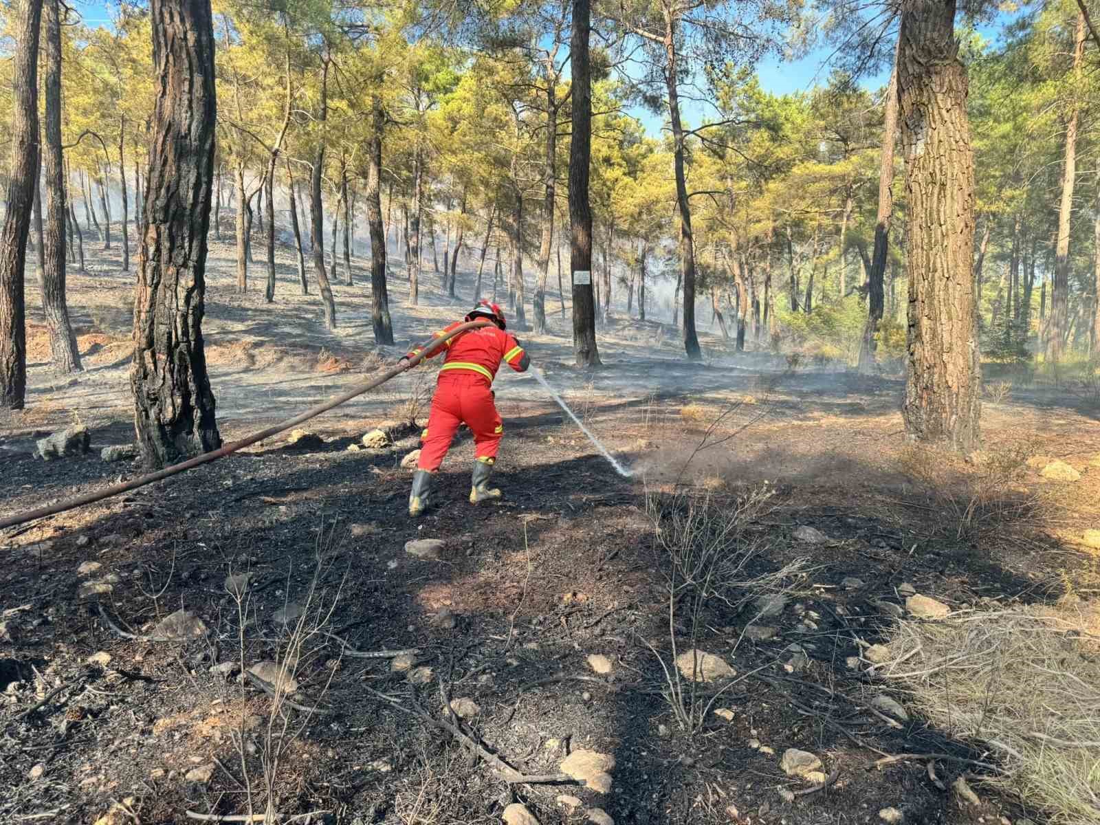 mugladaki yanginda gozaltina alinan sahis adli kontrolle serbest birakildi 0 rdYNpHY4