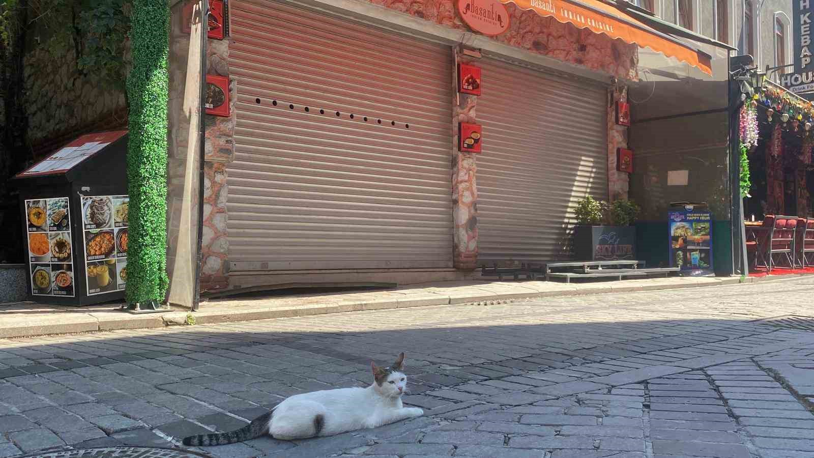 Mühürlü boş dükkandan yayılan kötü koku ekipleri harekete geçirdi 5 muhurlu bos dukkandan yayilan kotu koku ekipleri harekete gecirdi 1 bczh2py5