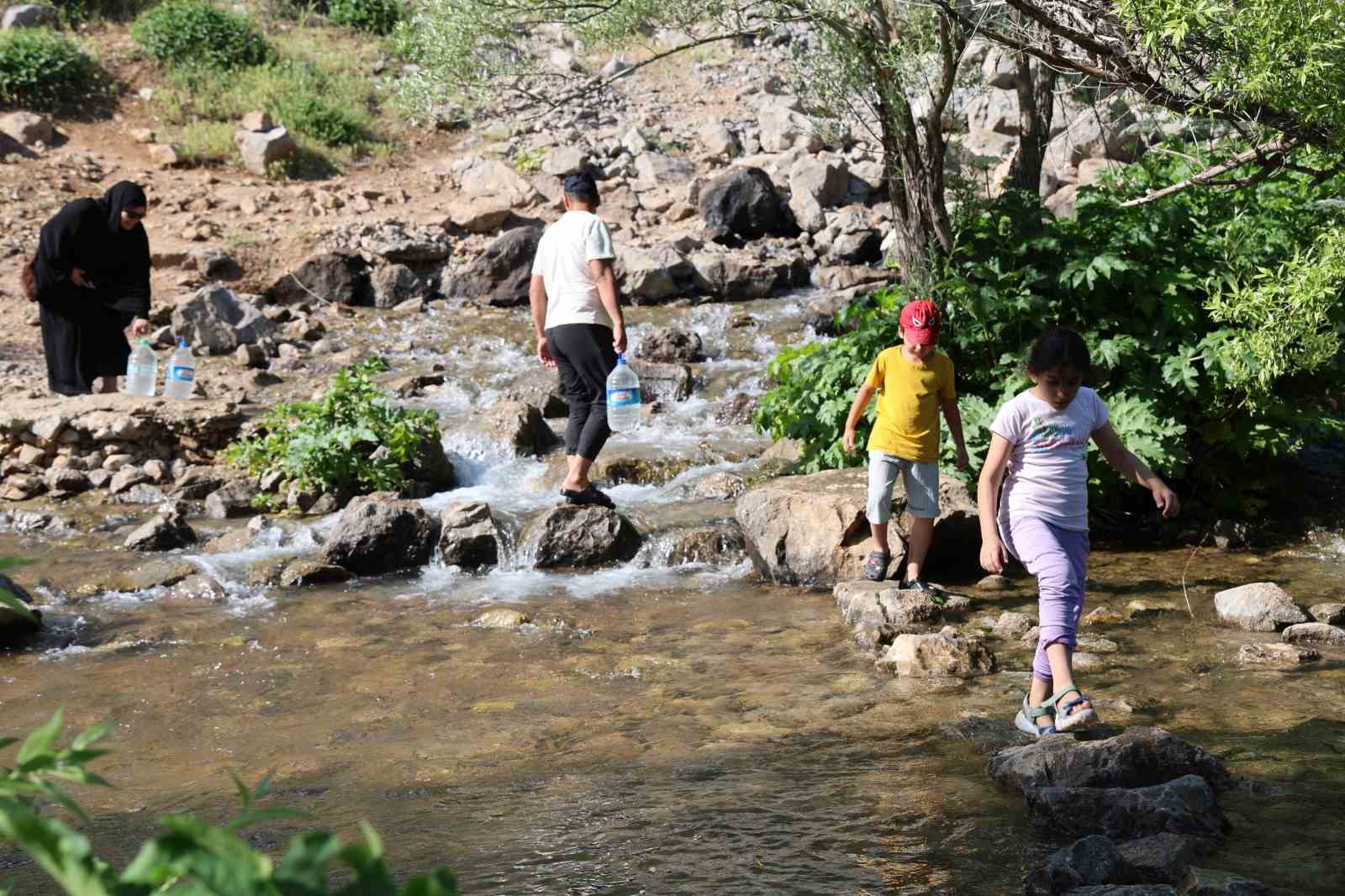 Munzur Gözeleri’nde yaz yoğunluğu başladı 13 munzur gozelerinde yaz yogunlugu basladi 9 AHh3jsL5