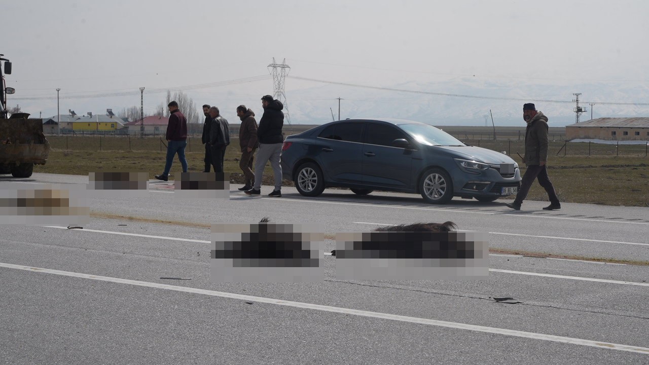 Muş-Bingöl karayolunda SUV tipi araç keçi sürüsüne çarptı: 10 hayvan telef oldu 6 mus bingol karayolunda suv tipi arac keci surusune carpti 10 hayvan telef oldu 2 UtabPIYw