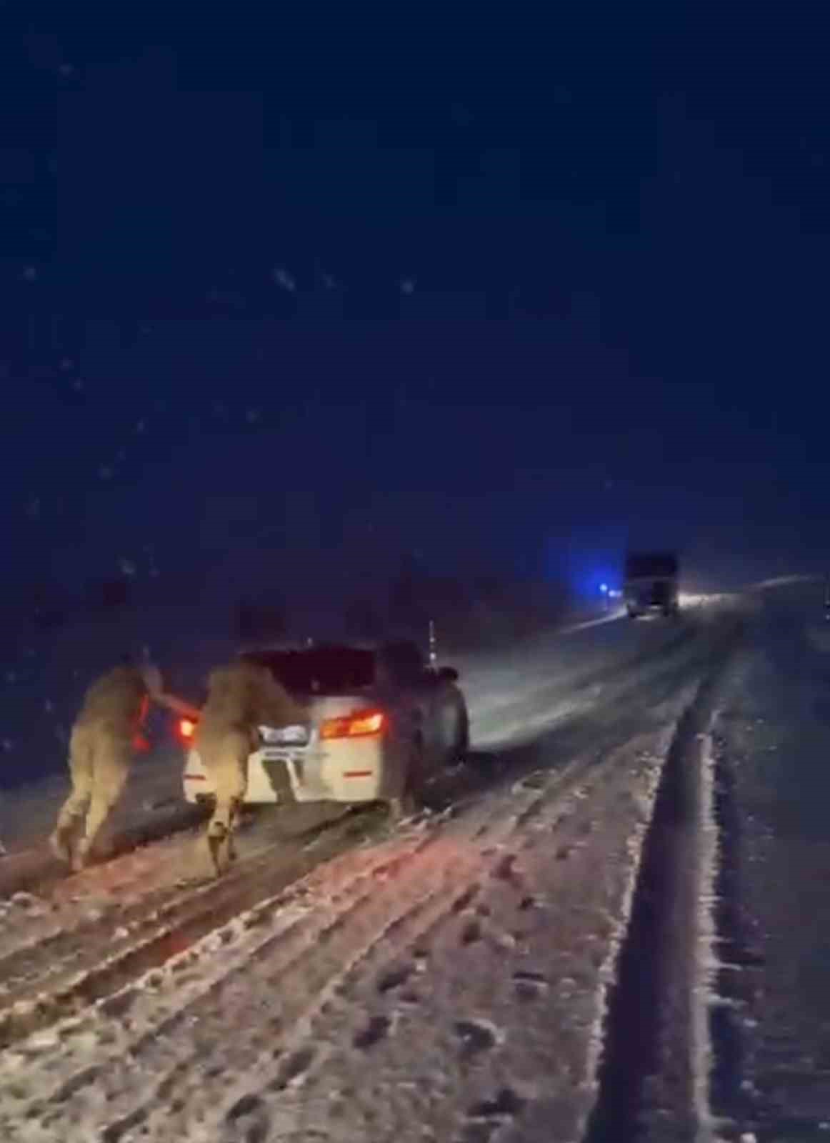 mus bulanik yolunda ulasima kar engeli jandarma ekipleri rampada mahsur kalan araclari tek tek kurtardi 7IvJMZDL