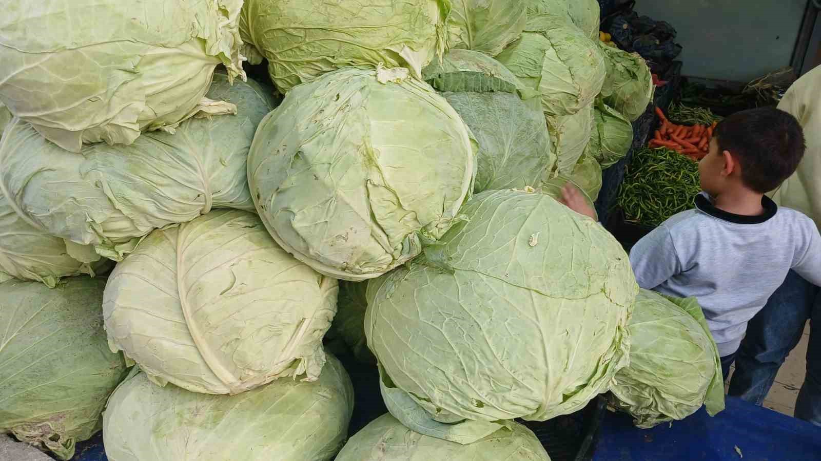 mus lahanalari diyarbakirda tezgahlarda yerini aldi 0 j8QwdcRt