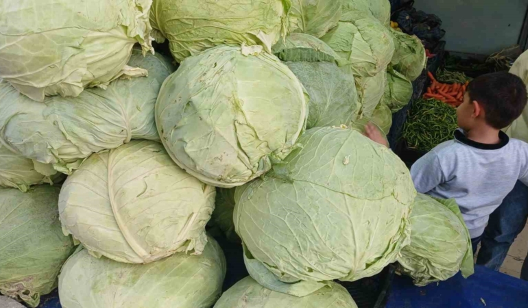 mus-lahanalari-diyarbakirda-tezgahlarda-yerini-aldi-tVixNYWT.jpg