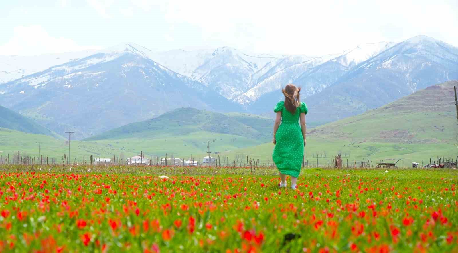 mus lalesi ovayi kirmiziya boyadi 6 JG711EEr