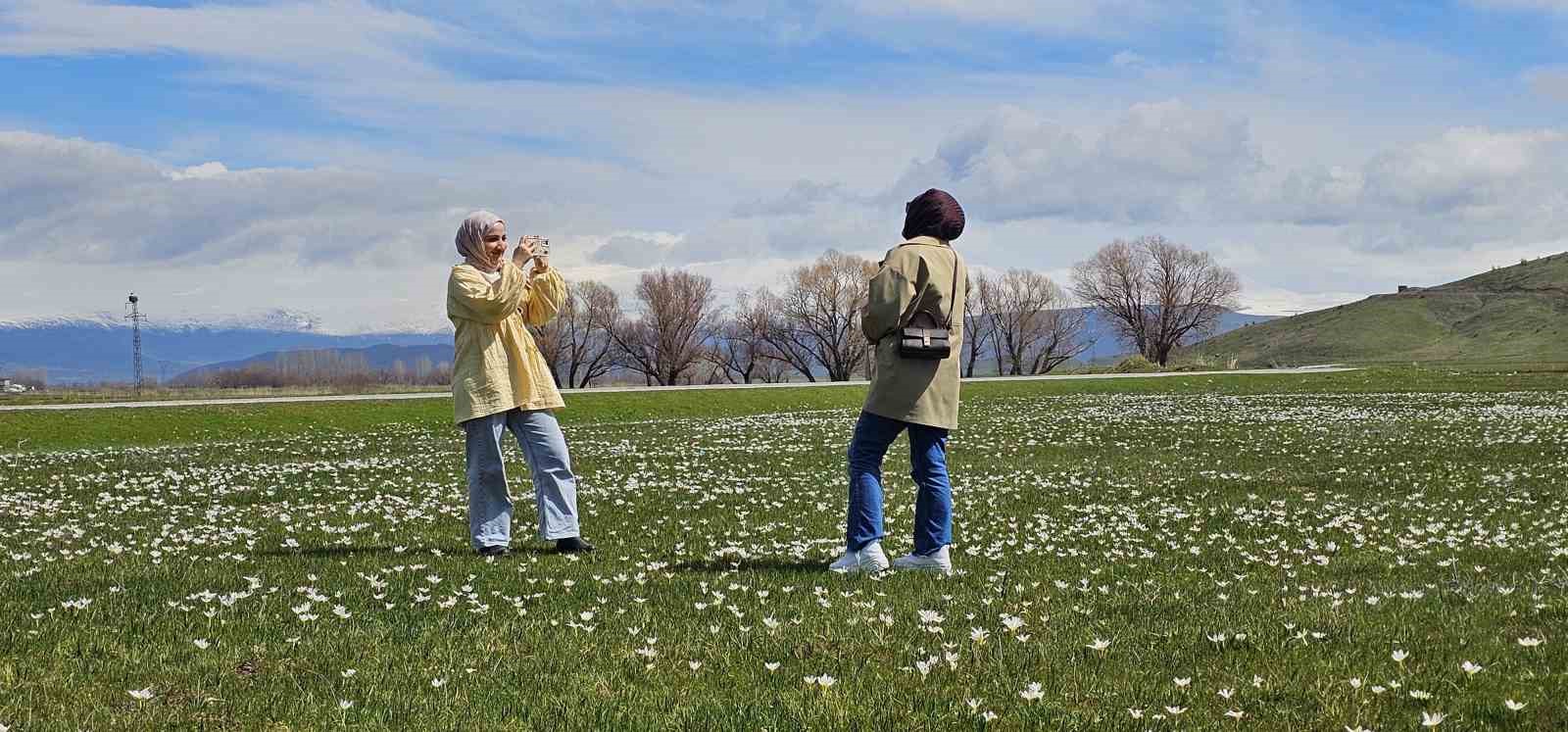 mus ovasi cigdemlerle renklendi 5 QAwCBgWJ