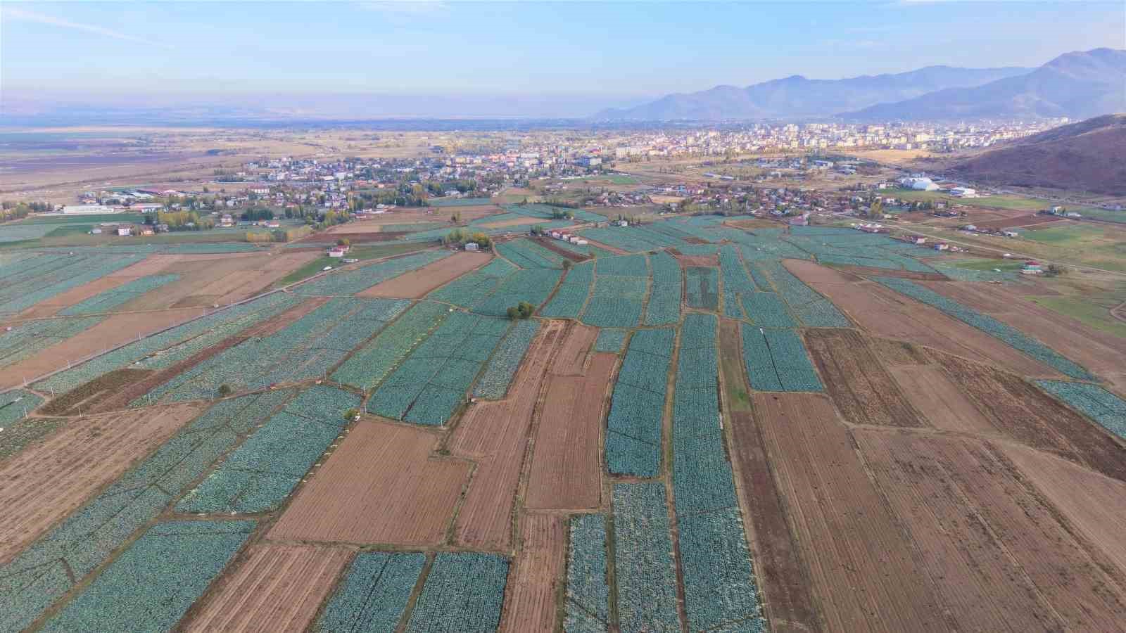 mus ovasinda gonullu genclerden ciftcilere hasat destegi 3 gSDKLgF6