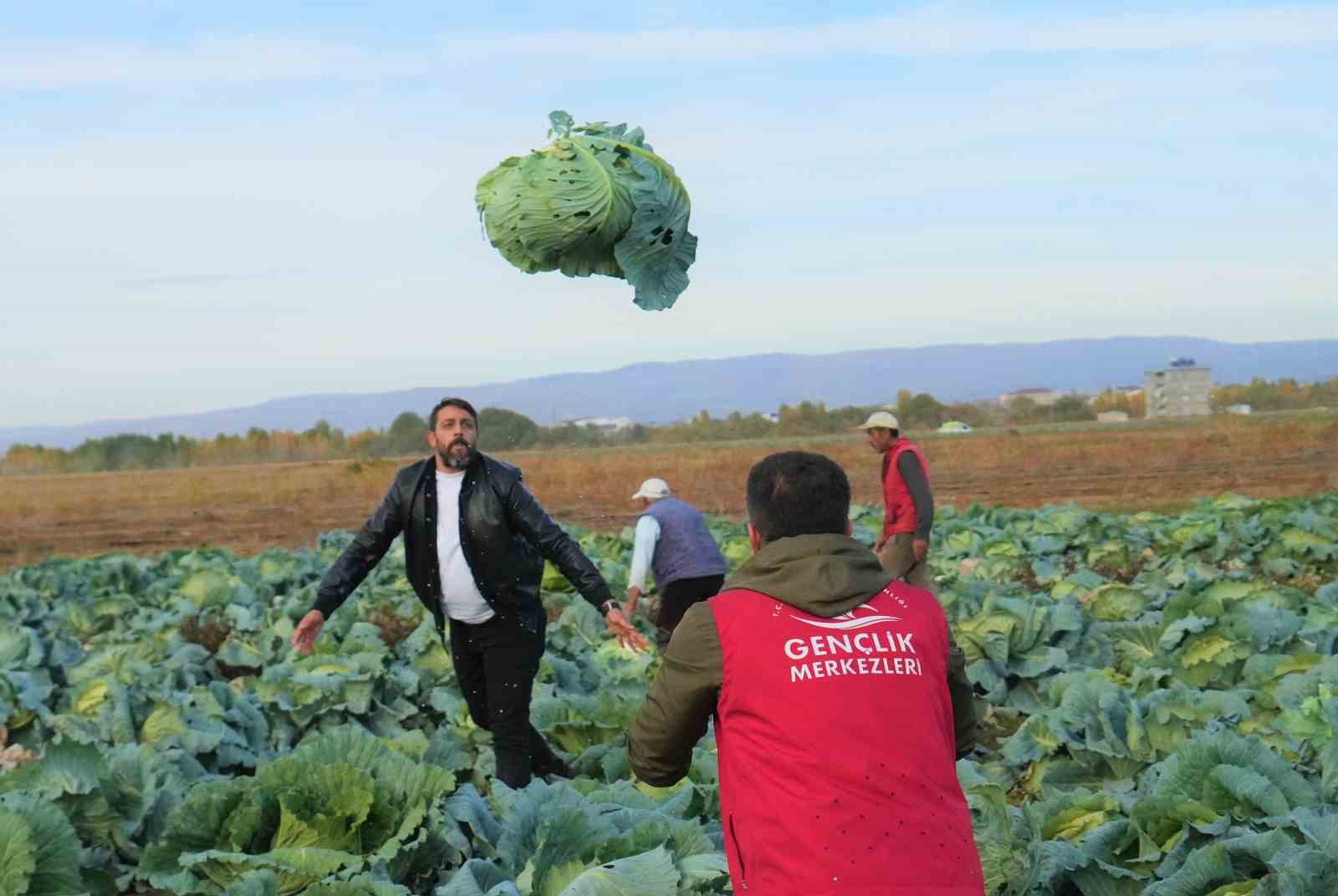 mus ovasinda gonullu genclerden ciftcilere hasat destegi 8 1sTyIbfl