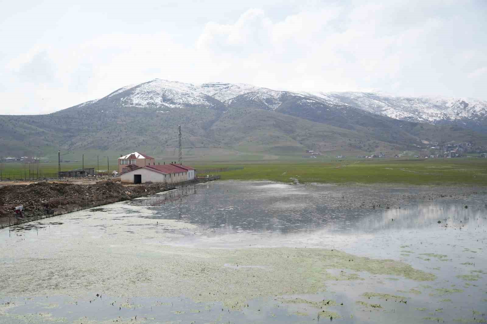 mus ovasinda kar erimesi ve saganak tarim arazilerini sular altinda birakti 5 ebwSy29O