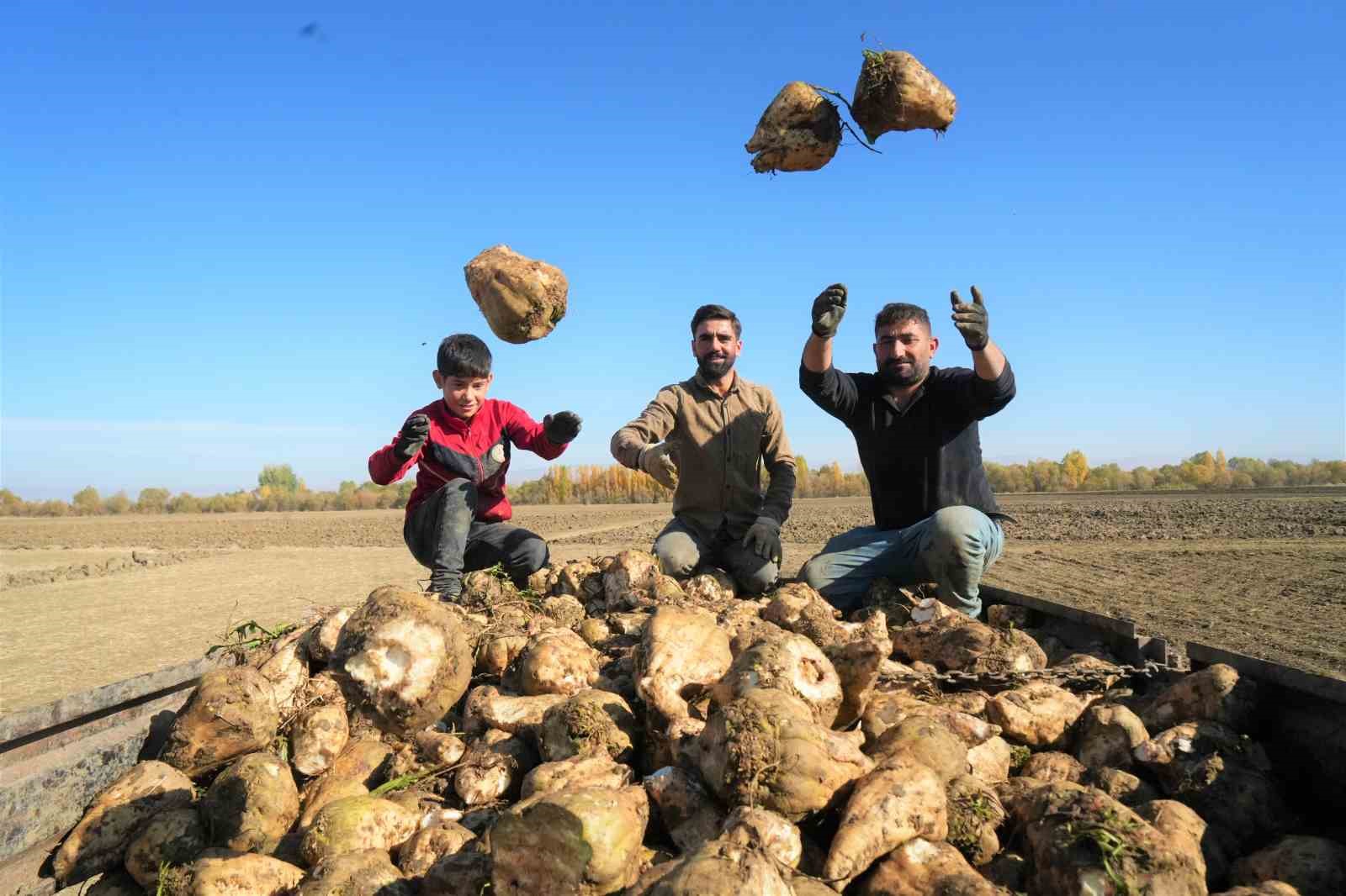 mus ovasinda tatli hasat devam ediyor 6 p2OrOHuK