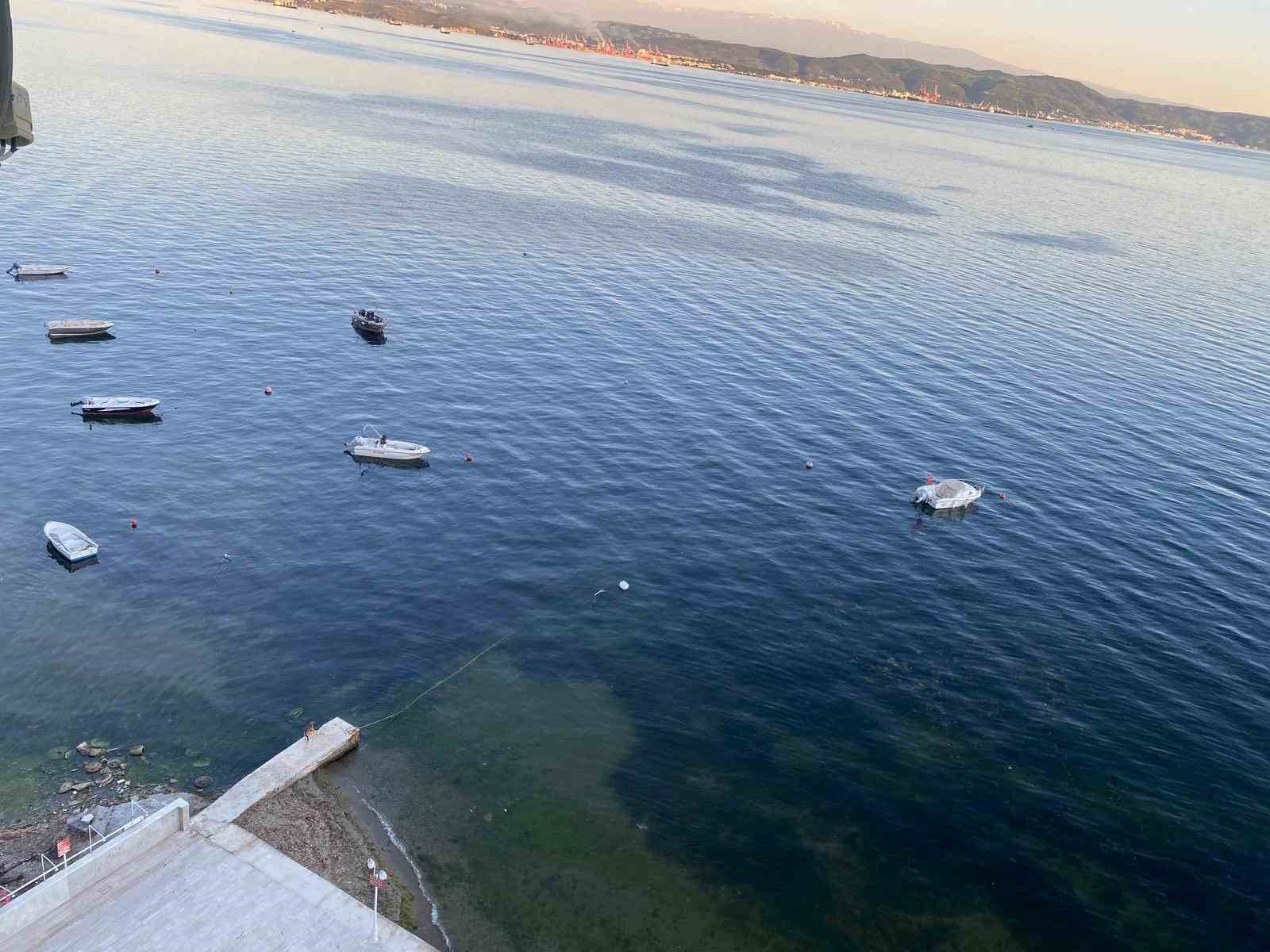 musilajin ardindan gemlik korfezinde sevindiren goruntuler 0 ZAu82mOF