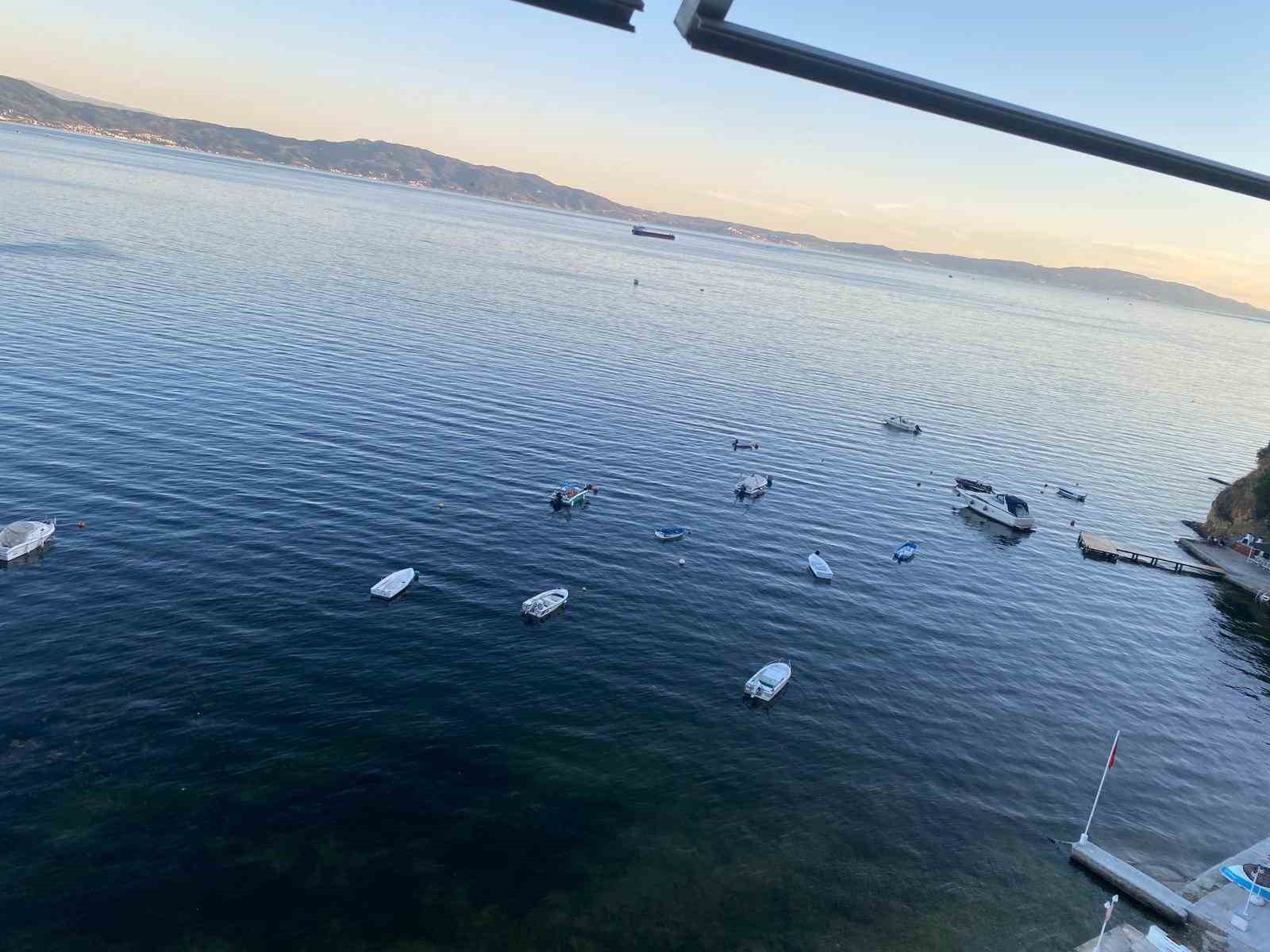 musilajin ardindan gemlik korfezinde sevindiren goruntuler 1 ksnAfdmH