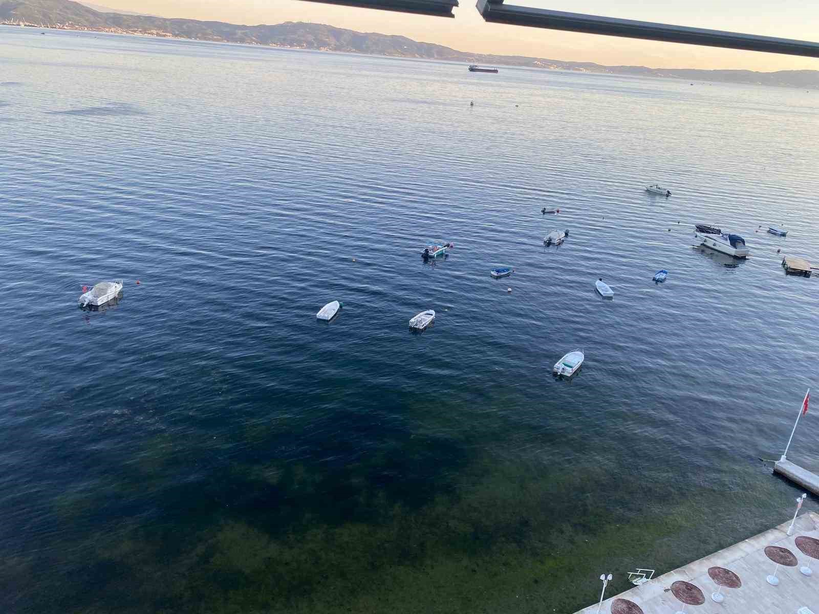 musilajin ardindan gemlik korfezinde sevindiren goruntuler 2 hX3WrMVq