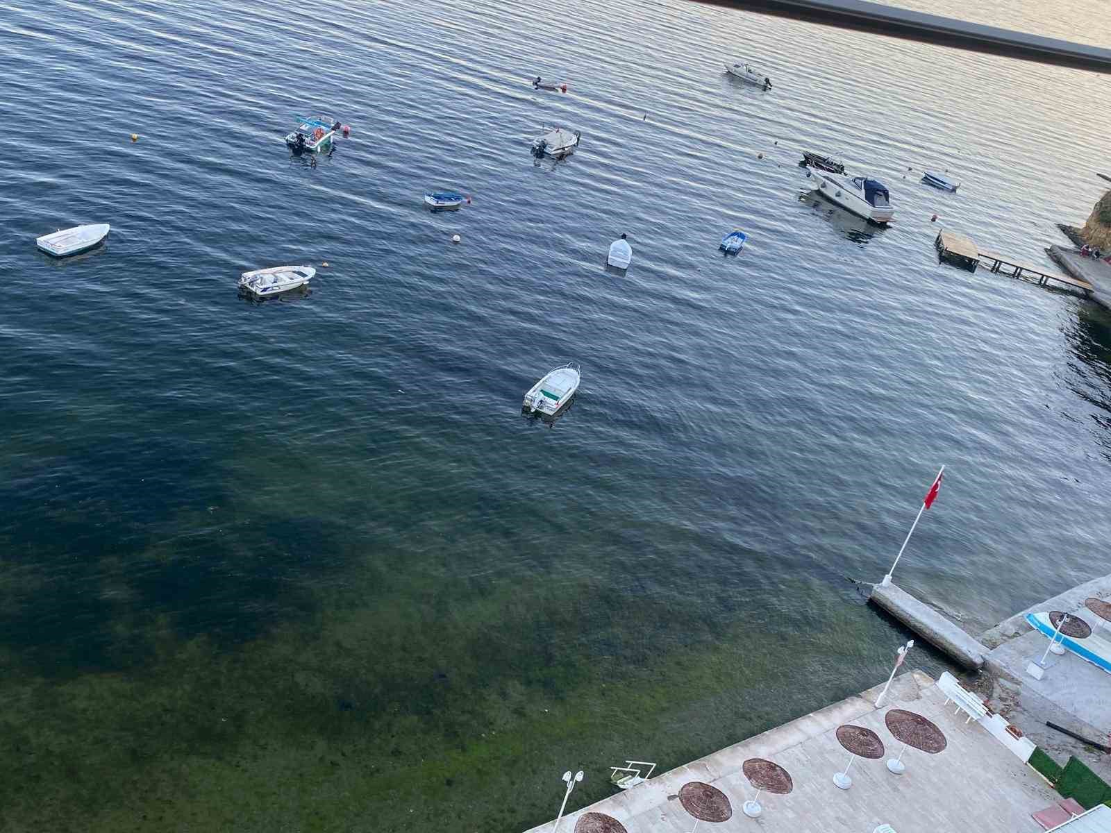 musilajin ardindan gemlik korfezinde sevindiren goruntuler 4 6RzOsg2q