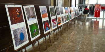 musta-15-tarim-orman-ve-insan-fotograf-sergisi-ziyarete-acildi-26HIDDvI.jpg