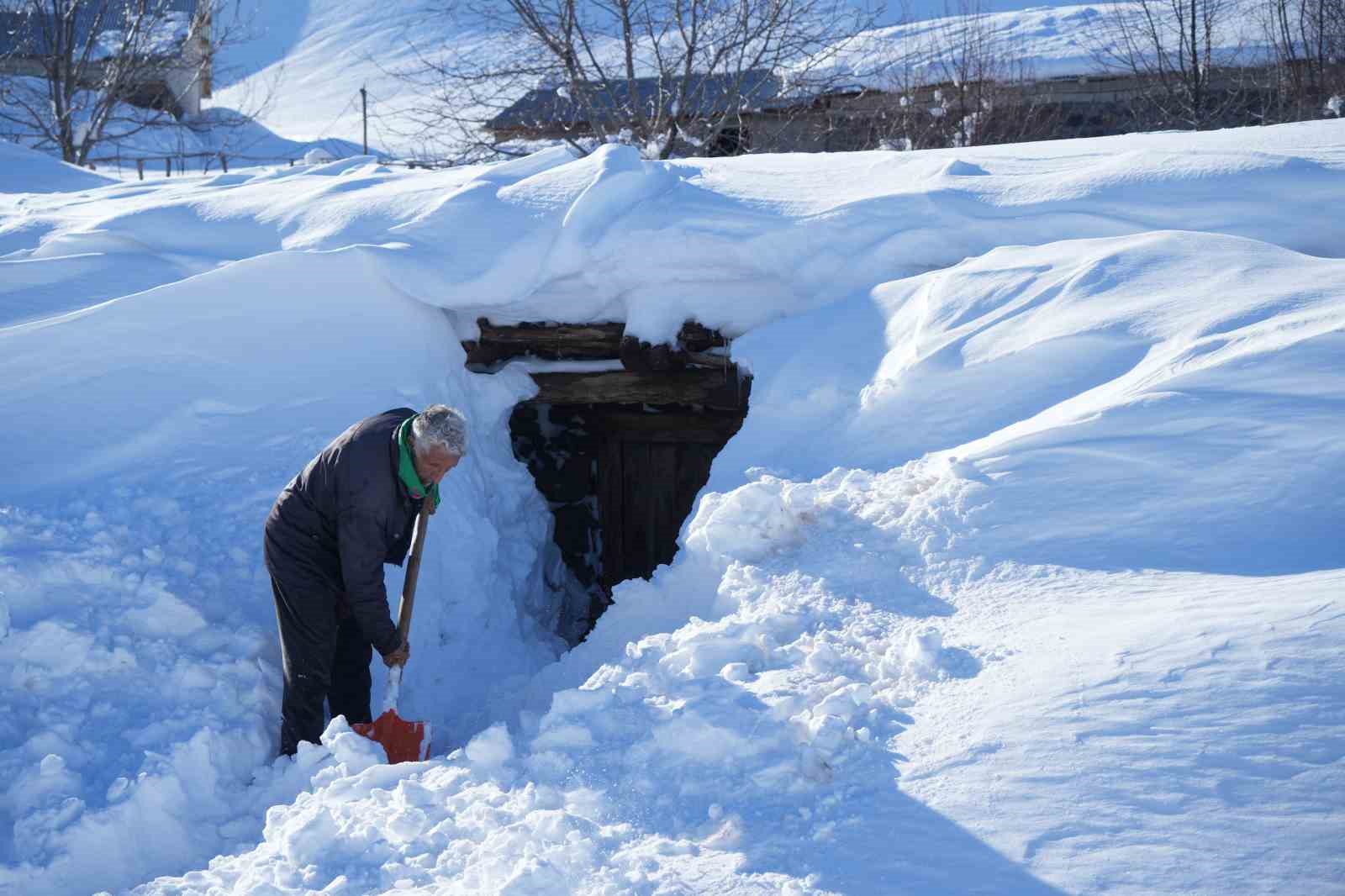 Muş’ta 1800 rakımlı köy kara gömüldü: Evler kar altında, ulaşım tünellerle sağlanıyor 10 musta 1800 rakimli koy kara gomuldu evler kar altinda ulasim tunellerle saglaniyor 6 lcaRKhKM