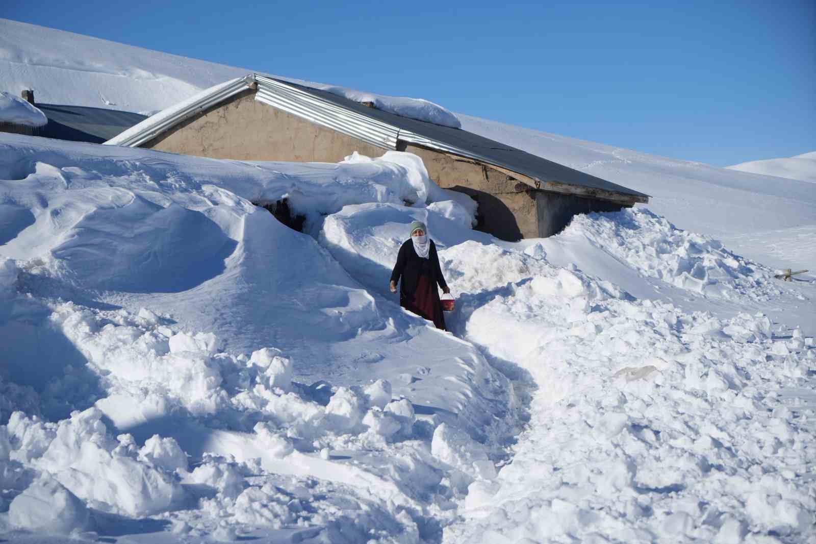 Muş’ta 1800 rakımlı köy kara gömüldü: Evler kar altında, ulaşım tünellerle sağlanıyor 13 musta 1800 rakimli koy kara gomuldu evler kar altinda ulasim tunellerle saglaniyor 9 RN4aaQME
